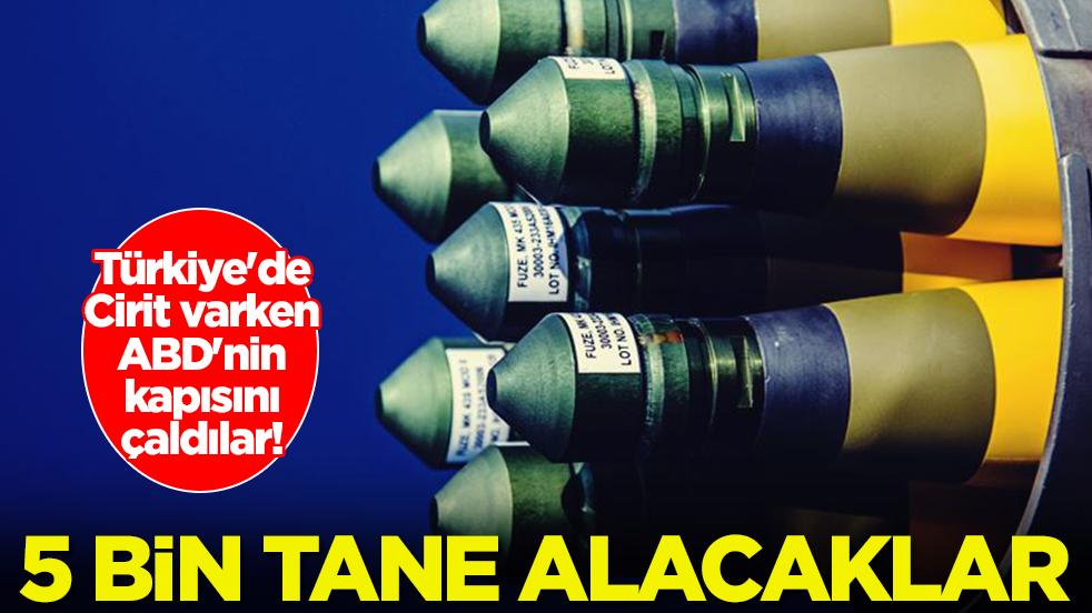Türkiye'de Cirit varken ABD'nin kapısını çaldılar: 5 bin tane alacaklar