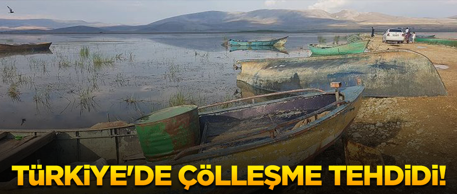 Türkiye'de çölleşme tehdidi! Artık koyunlara kaldı