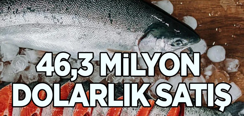 Türkiye'de dev atak: 46,3 milyon dolar getiri, binlerce tonluk satış! Somonu sattı, sektörü şaşırttı!