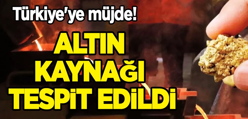 Türkiye'de dev keşif: 20 bin ons altın kaynağı tespit edildi! Harekete geçildi