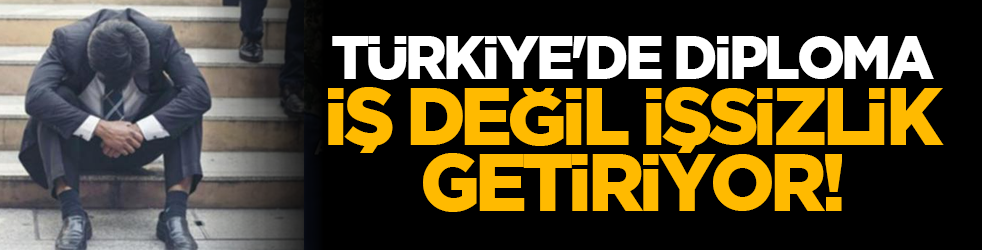 Türkiye'de diploma iş değil işsizlik getiriyor!