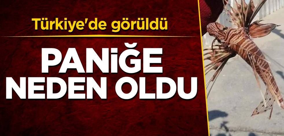 Türkiye'de görüldü, paniğe neden oldu