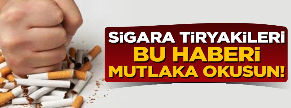 Türkiye'de hayatını kaybedenlerin yüzde 27'si sigaradan öldü