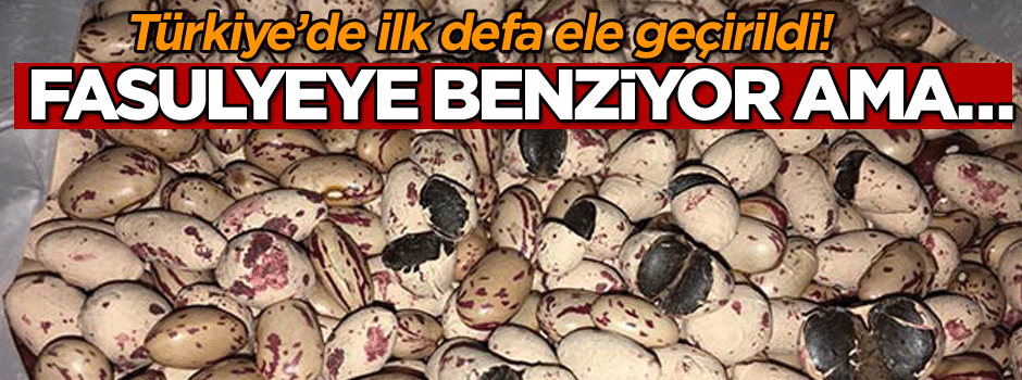 Türkiye’de ilk defa ele geçirildi! Fasulyeye benziyor ama…
