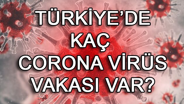 Türkiye'de kaç corona virüsü vakası var?