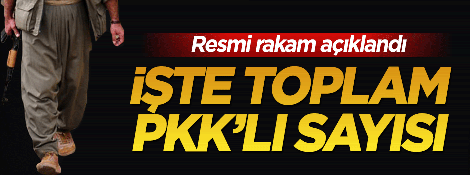 Türkiye ve yurt dışında kaç PKK'lı var?