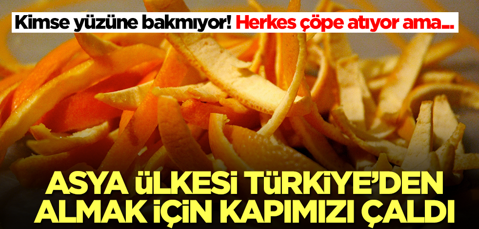 Türkiye'de kimse yüzüne bakmıyor! Herkes çöpe atıyor ama Asya ülkesi bizden almak için kapımızı çaldı