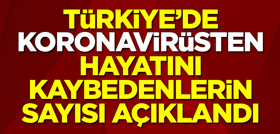 Türkiye'de koronavirüsten hayatını kaybedenlerin sayısı açıklandı