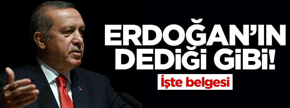 Türkiye'de 'Kürt sorunu' yok! İşte belgesi