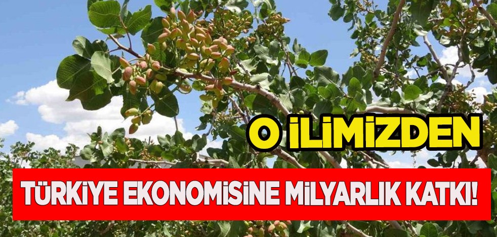 Türkiye'de o ilde: ülke ekonomisine 10 milyar TL katkı verildi! Milyonları ilgilendiren çok kritik, sürpriz görüşme