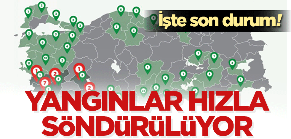 Türkiye'de orman yangınlarının 8'inci gününde son durum