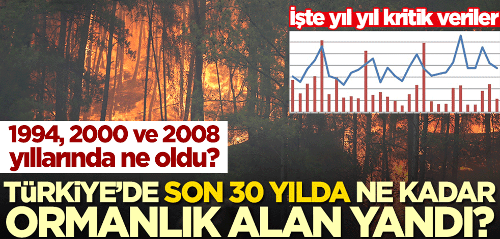 Türkiye'de son 30 yılda ne kadar ormanlık alan yandı? İşte yıl yıl kritik veriler