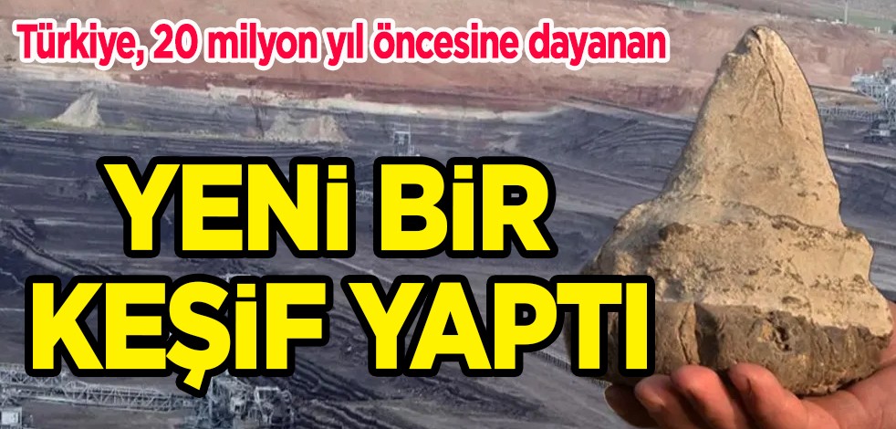 Türkiye'de tarihi heyecanlandıran keşif: 20 milyon yıllık megalodon dişi keşif edildi! Fransa hemen almak istedi