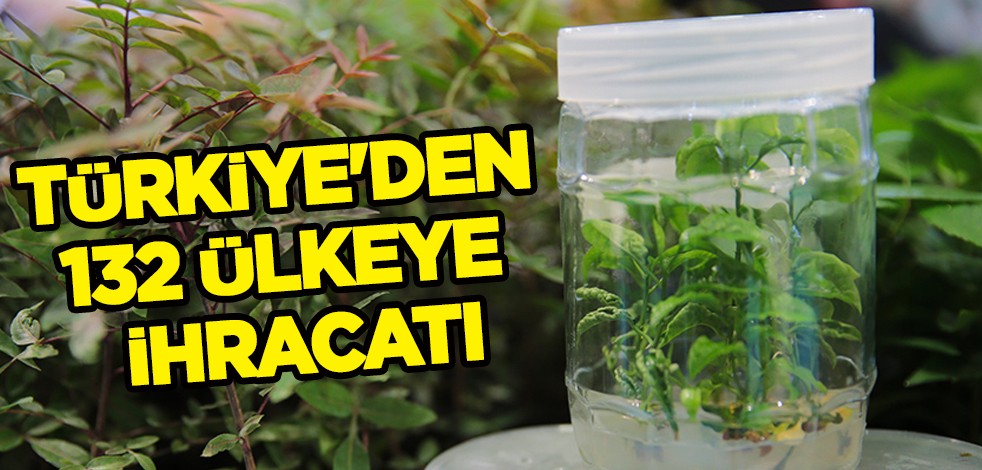 Türkiye'de üretilen tohumlar Almanya, ABD, Çin başta olmak üzere 132 ülkeye ihracatı yapılıyor