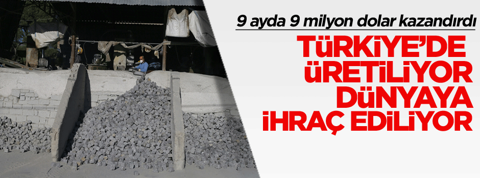 Türkiye’de üretiliyor dünyaya ihraç ediliyor, 9 ayda 9 milyon dolar kazandırdı