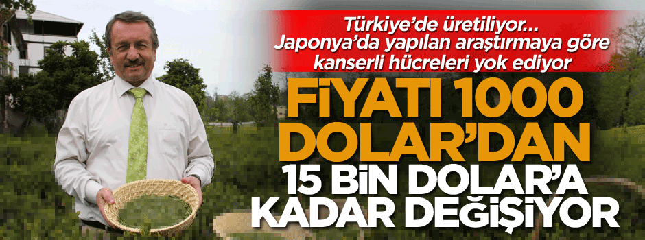 Türkiye’de üretiliyor… Japonya’da yapılan araştırmaya göre kanserli hücreleri yok ediyor