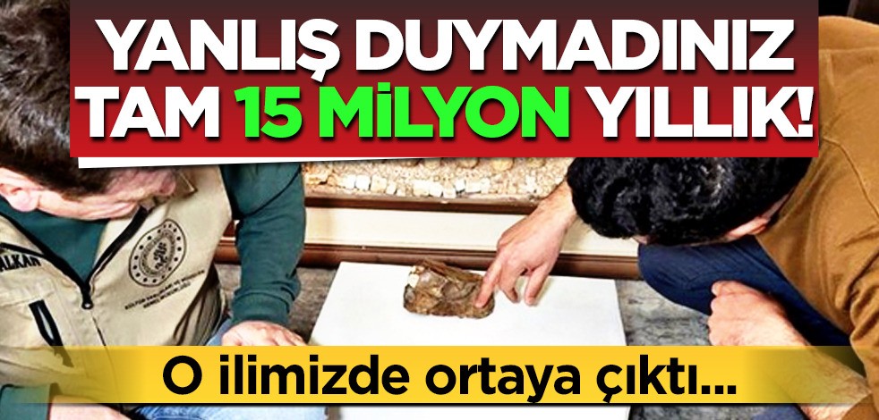 Türkiye'de yeni balık fosili keşfedildi: Adıyaman’da vatandaş fark etti! 15 milyon yıllık olduğu tahmin edildi!