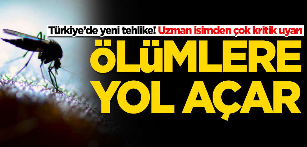 Türkiye’de yeni tehlike! Uzman isimden çok kritik uyarı: Ölümlere yol açar