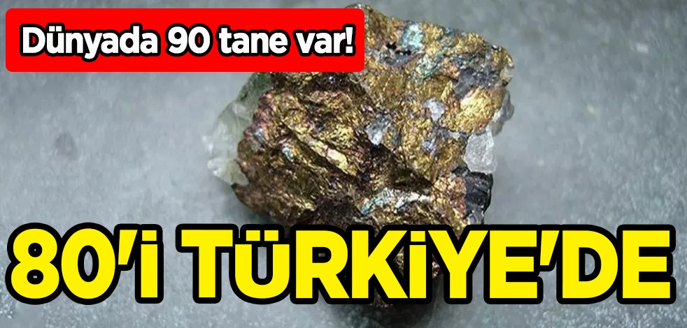 Türkiye'de zengin rezerv: Dünyada sadece 90 tane var, 80'i Türkiye'de! Hindistan ve Çin'e alternatif!