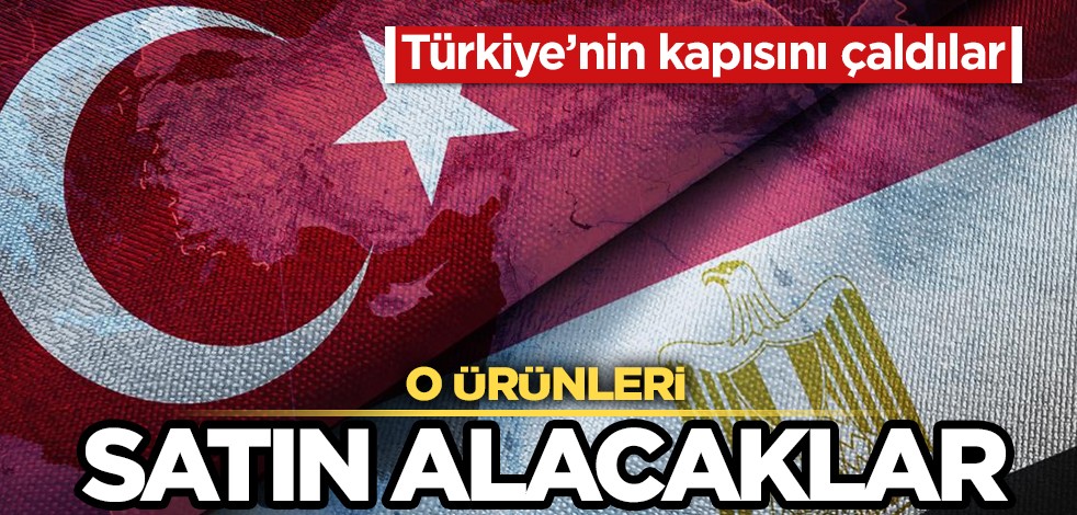 Türkiye’deki kapı üreticileri harekete geçti! Mısır ülkesi gelişmeyi açıkladı: Mısır’a ihracat kapıda, satın alınacak