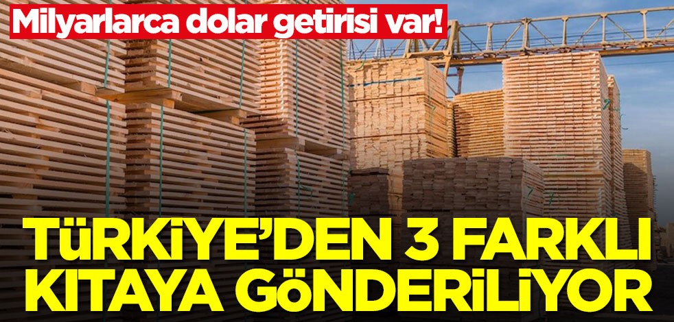 Türkiye'den 3 farklı kıtaya gönderiliyor! Milyarlarca dolar getirisi var