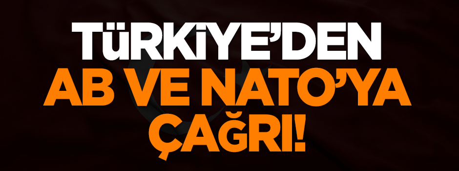 Türkiye'den AB ve NATO'ya çağrı