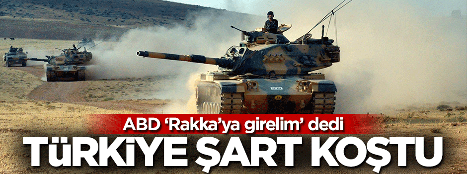 Türkiye'den ABD'nin isteğine şartlı cevap
