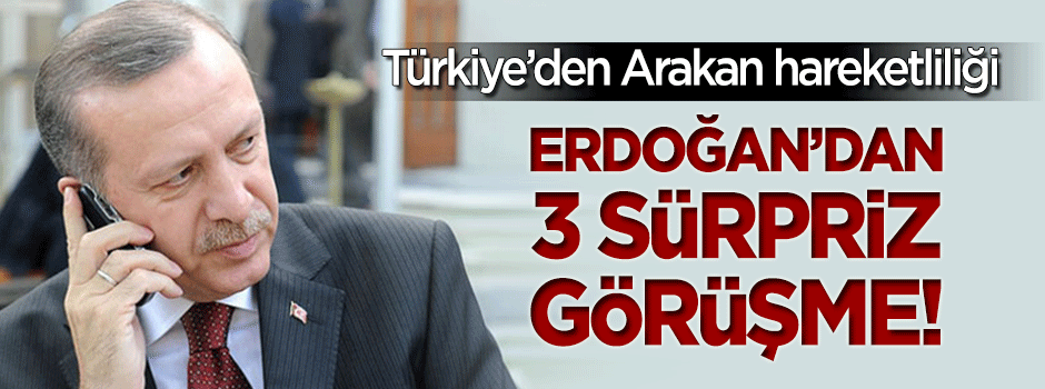 Türkiye'den Arakan hareketliliği: Erdoğan'dan üç sürpriz görüşme!