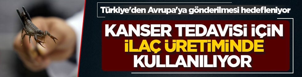 Türkiye'den Avrupa'ya gönderilmesi hedefleniyor! Kanser tedavisi için ilaç üretiminde kullanılıyor