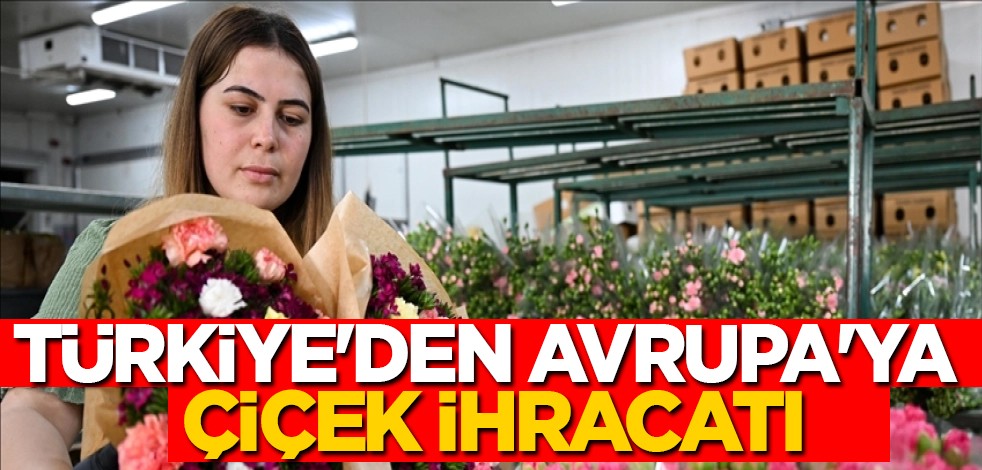 Türkiye'den Avrupa'ya ihraç edilen ürün: 70 milyon dal çiçek ihraç edildi... Türkiye hamlesi, büyük adım