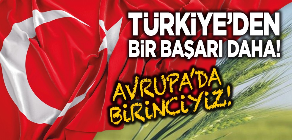 Türkiye’den bir başarı daha geldi! Avrupa'da birinciyiz!