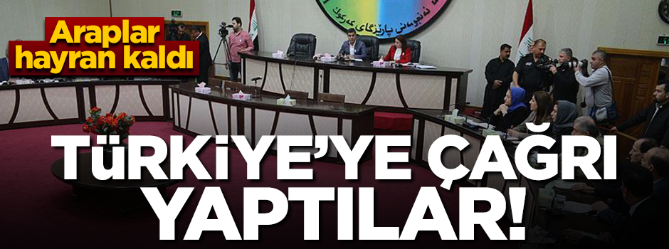 Türkiye'den destek istediler! Araplar hayran kaldı