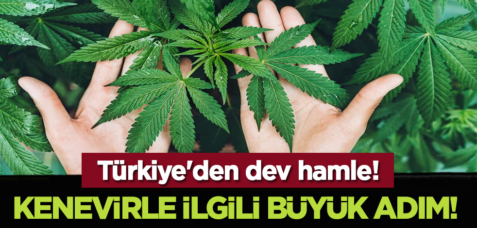 Türkiye'den dev hamle! Kenevirle ilgili büyük adım!