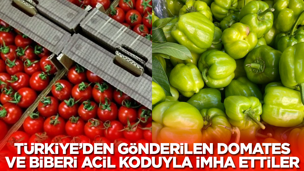 Türkiye'den gönderilen domates ve biberleri acil koduyla imha ettiler