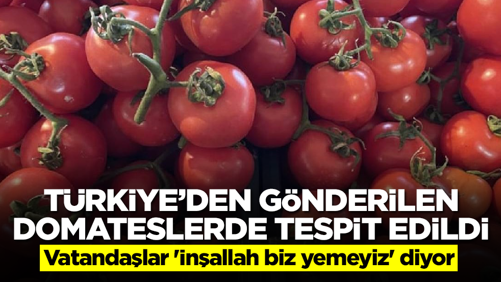 Türkiye'den gönderilen domateslerde tespit edildi: Vatandaşlar 'İnşallah biz yemeyiz' diyor