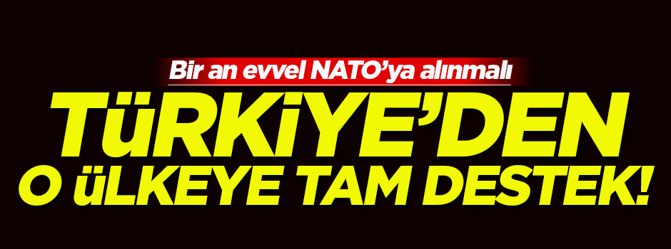 Türkiye’den Gürcistan’a tam destek