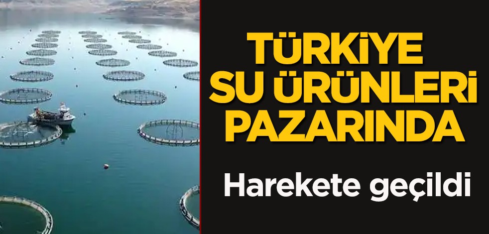  Türkiye'den istiridye yetiştiriciliğinde harekete geçildi: Bakan Yumaklı haberi duyurdu: 9 milyar dolarlık plan yapıyoruz