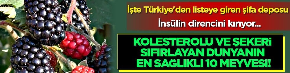 Türkiye'den listeye giren dünyanın en sağlıklı 10 meyvesi bunlar: Çok ama çok şaşıracaksınız