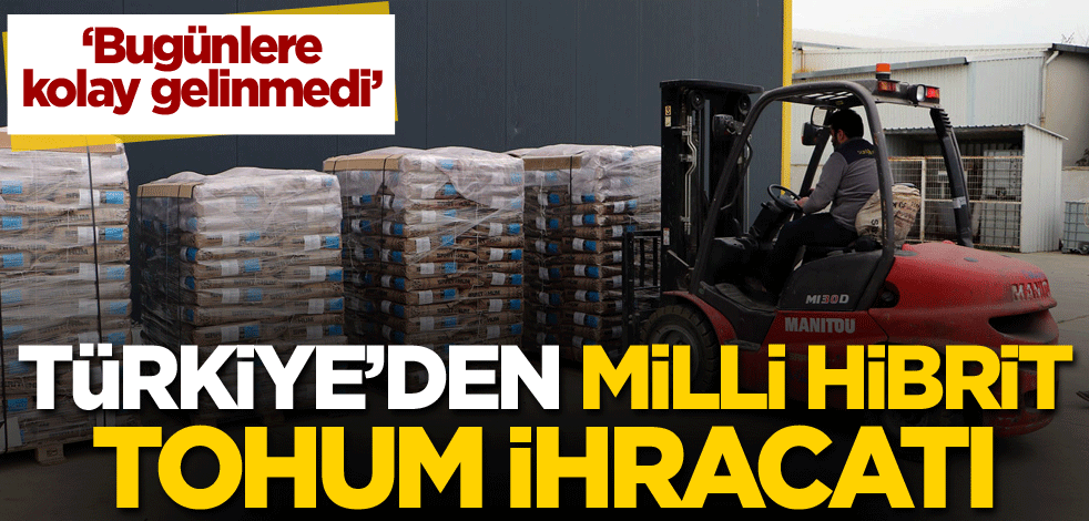 Türkiye'den milli hibrit tohum ihracatı