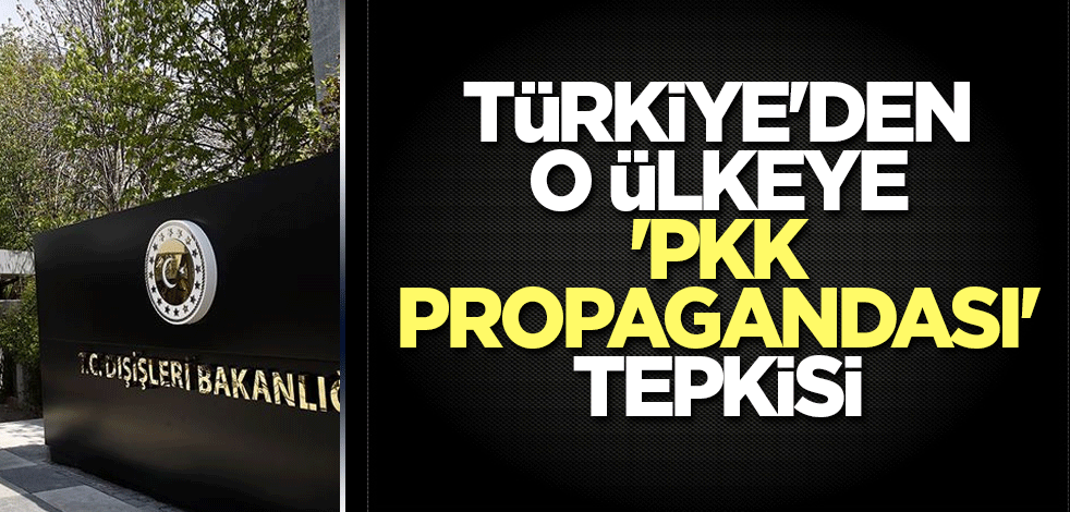 Türkiye'den Norveç'e 'PKK propagandası' tepkisi