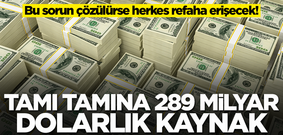 Türkiye'den tamı tamına 289 milyar dolarlık kaynak! Bu sorun çözülürse herkes refaha erişecek