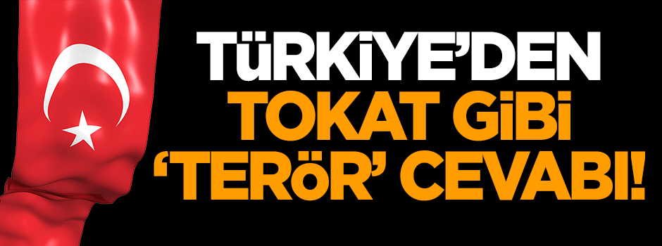 Türkiye'den 'terör' cevabı!