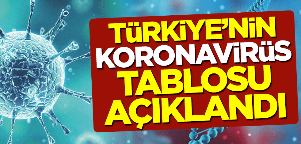 Türkiye'nin 12 Kasım'a ait güncel koronavirüs tablosu açıklandı