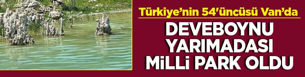 Türkiye’nin 54'üncüsü Van’da Deveboynu yarımadası milli park oldu