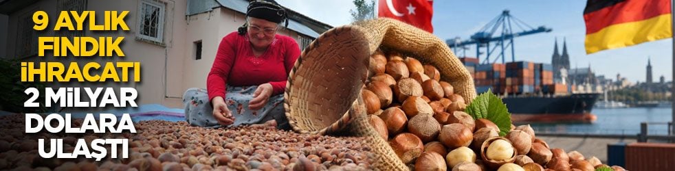 Türkiye'nin 9 aylık fındık ihracatı 2 milyar dolara ulaştı