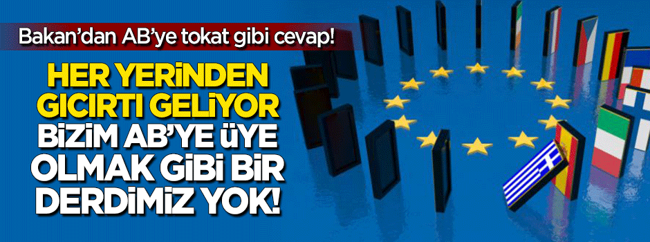"Türkiye'nin AB'ye üye olmak gibi bir derdi yok"