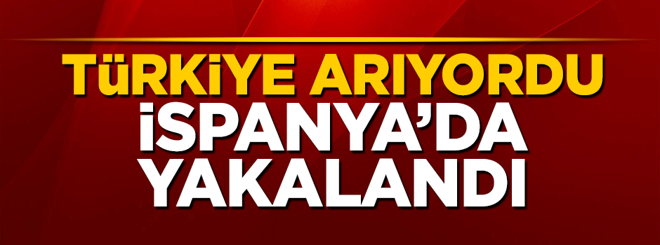 Türkiye'nin aradığı Doğan Akhanlı İspanya'da yakalandı
