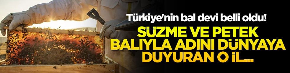 Türkiye'nin bal devi belli oldu! Süzme ve petek balıyla adını dünyaya duyuran o il...
