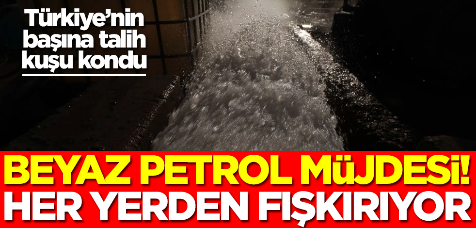 Türkiye'nin başına talih kuşu kondu! Her yerden fışkırıyor, doğalgazın yerine kullanılabilir