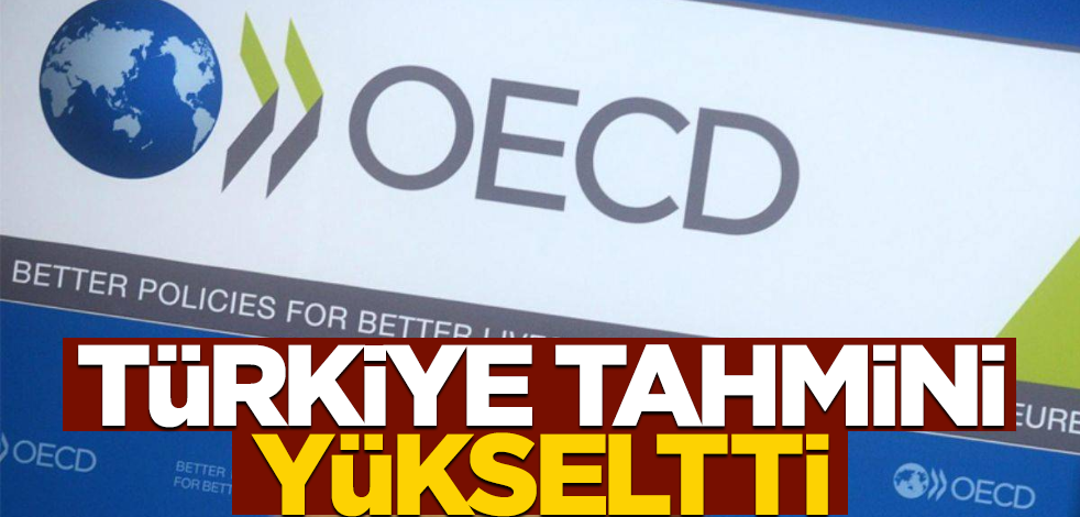 Türkiye'nin büyüme tahminini yükselttiler